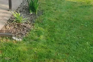 453 Spring Creek Rd S, Red Wing, MN 55066 - Photo 63