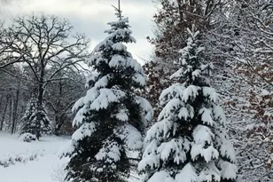 3632 140th Ave NE, Ham Lake, MN 55304 - Photo 95