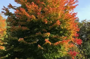 3632 140th Ave NE, Ham Lake, MN 55304 - Photo 95