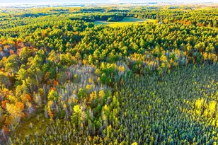 9724 N County Hwy A, Hayward, WI 54843 - Photo 45