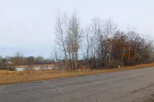 5676 Brandlwood Ct, White Bear Lake, MN 55110 - Photo 33