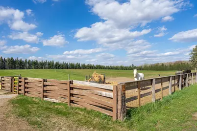 33896 County 21, Browerville, MN 56438 - Photo 55