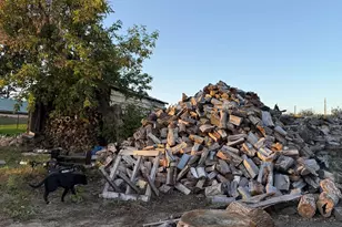 35515 State Hwy 87, Frazee, MN 56544 - Photo 25