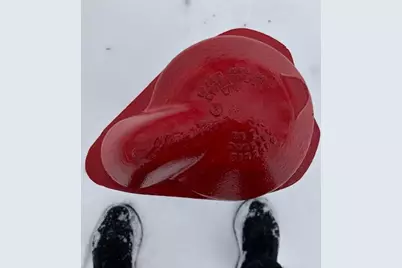 42156 120th Street, Waseca, MN 56093 - Photo 25