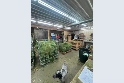 2585* State 200 NE, Remer, MN 56672 - Photo 3