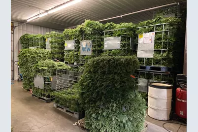 2585* State 200 NE, Remer, MN 56672 - Photo 7