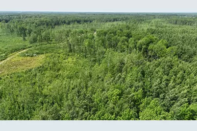 17 E  Tbd County Road, Mizpah, MN 56660 - Photo 11