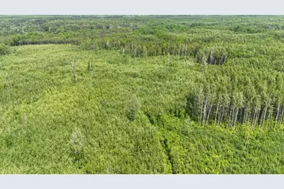 17 E  Tbd County Road, Mizpah, MN 56660 - Photo 13