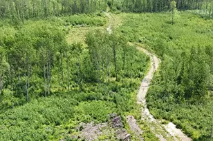 17 E Tbd County Rd, Mizpah, MN 56660 - Photo 1
