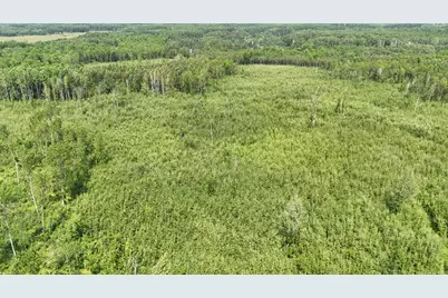 17 E  Tbd County Road, Mizpah, MN 56660 - Photo 9