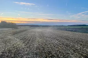 Tbd 85th St, Clear Lake, WI 54005 - Photo 1