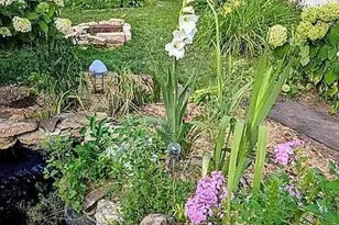 602 S Oak St, Lake City, MN 55041 - Photo 41