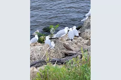 602 S Oak Street, Lake City, MN 55041 - Photo 73