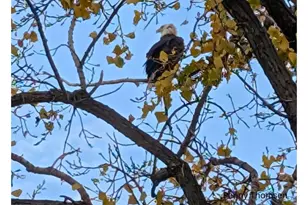 602 S Oak St, Lake City, MN 55041 - Photo 75