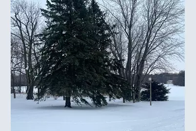 29684 650th Avenue, Litchfield, MN 55355 - Photo 39