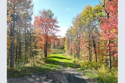 10036 211th Street N, Forest Lake, MN 55025 - Photo 7