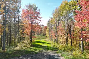 10036 211th St N, Forest Lake, MN 55025 - Photo 7