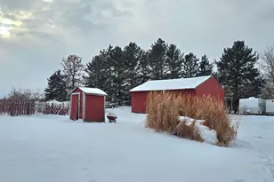 15514 341st Ave, Harmony, MN 55939 - Photo 51