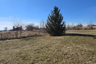 15514 341st Ave, Harmony, MN 55939 - Photo 67