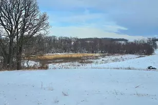 15514 341st Ave, Harmony, MN 55939 - Photo 63