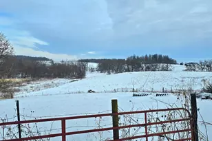 15514 341st Ave, Harmony, MN 55939 - Photo 55