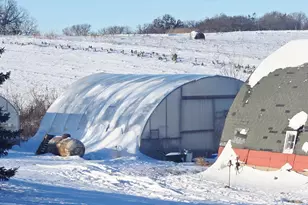 15514 341st Ave, Harmony, MN 55939 - Photo 49