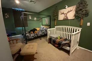 67368 380th St, Watkins, MN 55389 - Photo 13