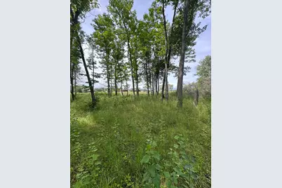 17415 E Pine Drive NW, Angle Inlet, MN 56711 - Photo 3