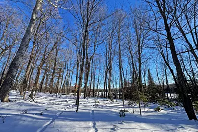 26810 N Hart Lake Road, Pengilly, MN 55775 - Photo 59