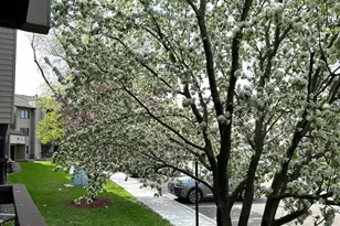 4300 Trenton Ln N, Plymouth, MN 55442 - Photo 1