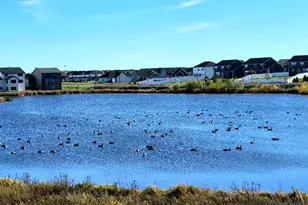 2065 Tamarack Rd, Carver, MN 55315 - Photo 53