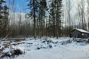 3670 Co Rd 97, International Falls, MN 56649 - Photo 37