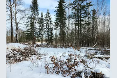 3670 County Road 97, International Falls, MN 56649 - Photo 35