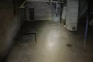 62344 County Road 4, Kellogg, MN 55945 - Photo 7