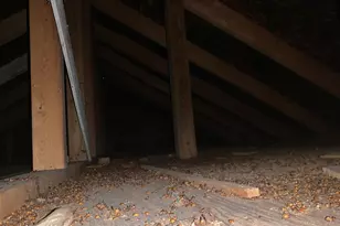 62344 County Road 4, Kellogg, MN 55945 - Photo 9