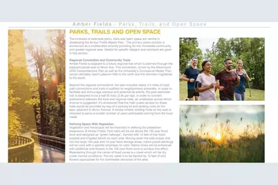 15080 Amber Fields Boulevard W, Rosemount, MN 55068 - Photo 39