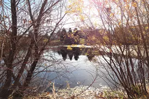 9204 Holly Ln N, Maple Grove, MN 55311 - Photo 33