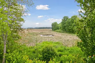 14217 Packard St NE, Ham Lake, MN 55304 - Photo 49