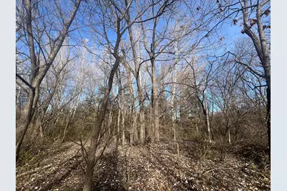 Tbd 72nd St. SW, Howard Lake, MN 55349 - Photo 7