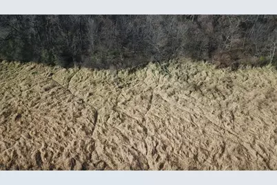 Tbd 72nd St. SW, Howard Lake, MN 55349 - Photo 5