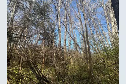 Tbd 72nd St. SW, Howard Lake, MN 55349 - Photo 9