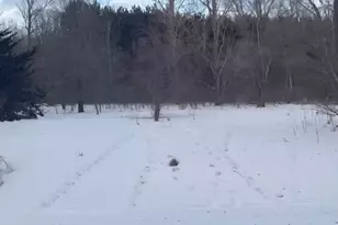 Tbd Riverview Dr NE, Carlos, MN 56319 - Photo 1