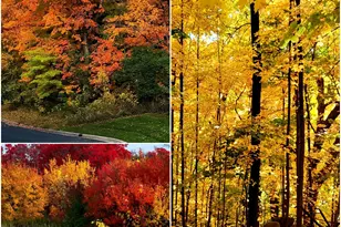 4707 Obsidian Wy, Victoria, MN 55386 - Photo 29