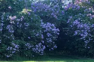 32745 Co Hwy 37, Ponsford, MN 56575 - Photo 79