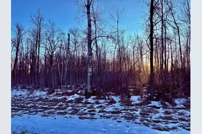 Lot 15 Hooper Creek Loop NW, Baudette, MN 56623 - Photo 7