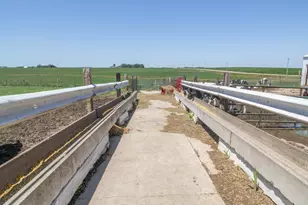 270 31st St, Hills, MN 56138 - Photo 17