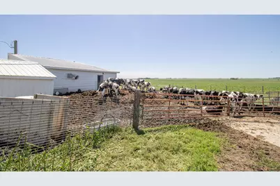 270 31st Street, Hills, MN 56138 - Photo 19