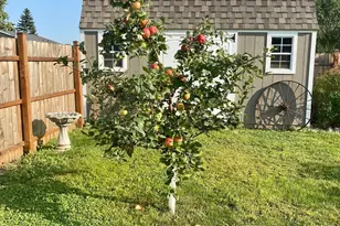 120 N 2nd Ave N, Wahpeton,  58075 - Photo 31