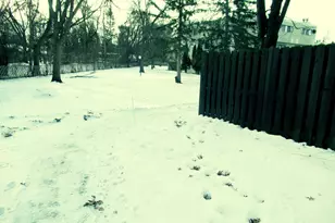 7182 72nd Ln N, Brooklyn Park, MN 55428 - Photo 13