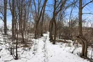 14785 County Rd 122, Watertown, MN 55388 - Photo 47